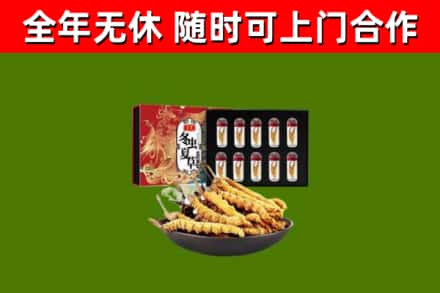 蕉城区烟酒回收冬虫夏草礼盒.jpg
